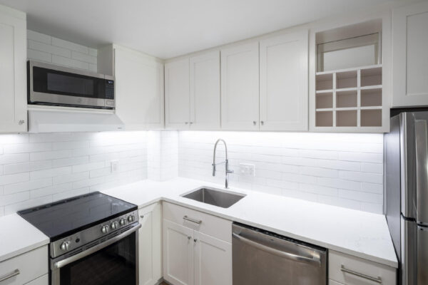 Backsplash- Purity Ice 3x12